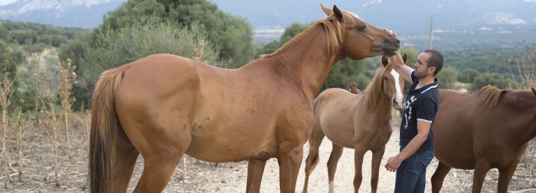 Expériences Agriturismo S'Ozzastru